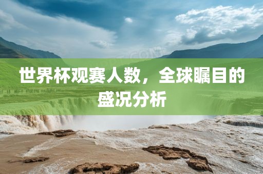 世界杯观赛人数，全球瞩目的盛况分析