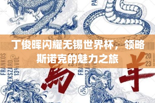 丁俊晖闪耀无锡世界杯，领略斯诺克的魅力之旅