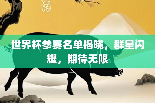 世界杯参赛名单揭晓，群星闪耀，期待无限