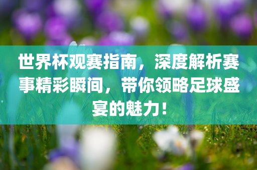 世界杯观赛指南，深度解析赛事精彩瞬间，带你领略足球盛宴的魅力！