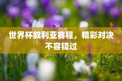 世界杯叙利亚赛程，精彩对决不容错过漯河市盈旭机械设备有限公司