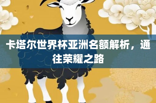 卡塔尔世界杯亚洲名额解析，通往荣耀之路漯河市盈旭机械设备有限公司