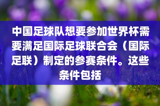 中国足球队想要参加世界杯需要满足国际足球联合会（国际足联）制定的参赛条件。这些条件包括