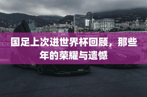 国足上次进世界杯回顾，那些年的荣耀与遗憾