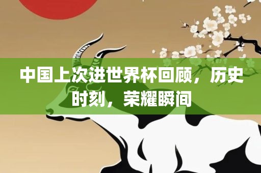 中国上次进世界杯回顾，历史时刻，荣漯河市盈旭机械设备有限公司耀瞬间