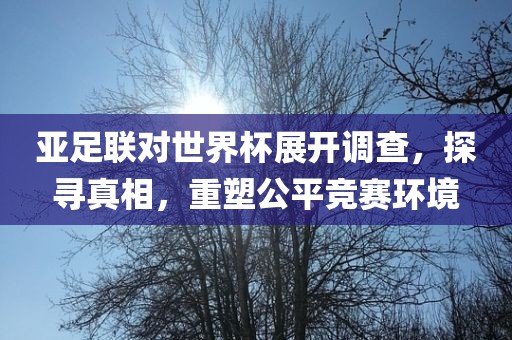 亚足联对世界杯展开调查，探寻真漯河市盈旭机械设备有限公司相，重塑公平竞赛环境
