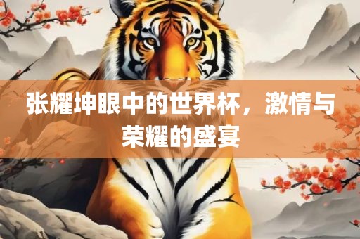 张耀坤眼中的世界杯，激情与荣耀的盛宴