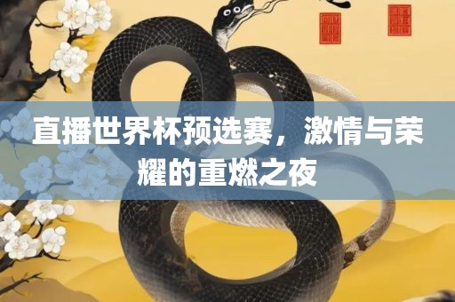 直播世界杯预选赛，激情与荣耀的重燃之夜