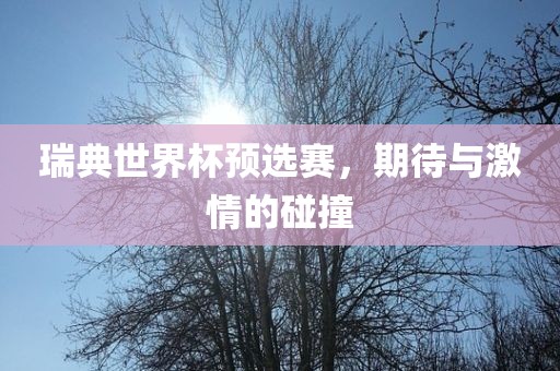 瑞典世界杯预选赛，期待与激情的碰撞