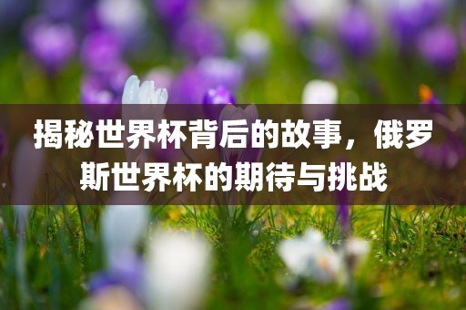 揭秘世界杯背后的故事，俄罗斯世界杯的期待与挑战