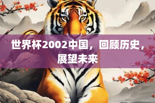 世界杯2002中国，回顾历史，展望未来