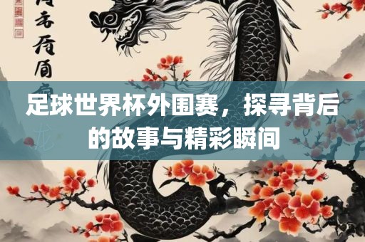 足球世界杯外围赛，探寻背后的故事与精彩瞬间