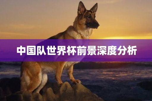 中国队世界杯前景深度分析漯河市盈旭机械设备有限公司