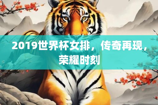 2019世界杯女排，传奇再现，荣耀时刻