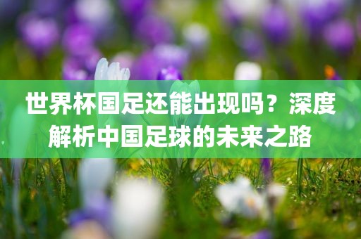 世界杯国足还能出现吗？深度解析中国足球的未来之路