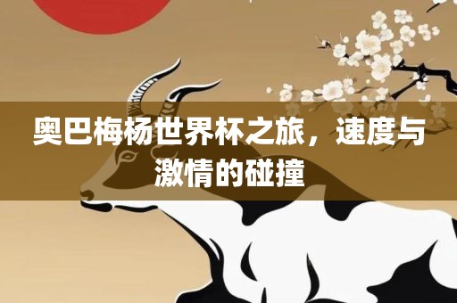 奥巴梅杨世界杯之旅，速度与激情的碰撞
