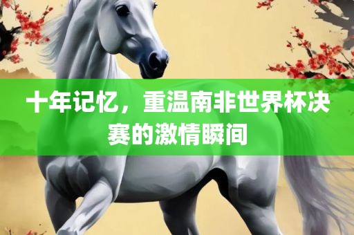 十年记忆，重温南非世界杯决赛的激情瞬间