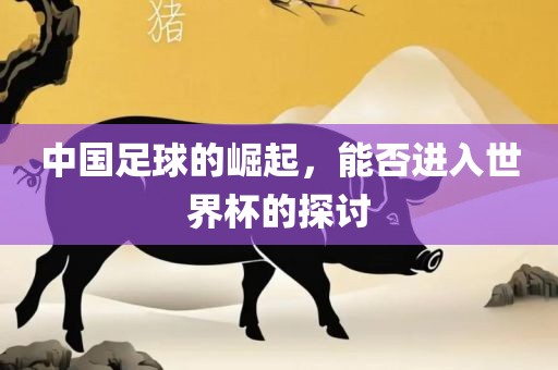 中国足球的崛起，能否进入世界杯的探讨