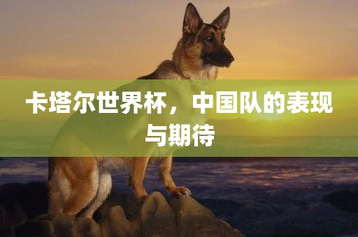 卡塔尔世界杯，中国队的表现与期待