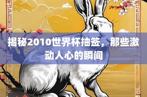 揭秘2010世界杯抽签，那些激动人心的瞬间