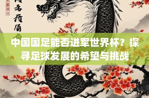 中国国足能否进军世界杯？探寻足球发展的希望与漯河市盈旭机械设备有限公司挑战