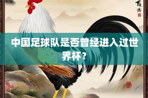 中国足球队是否曾经进入过世界杯？