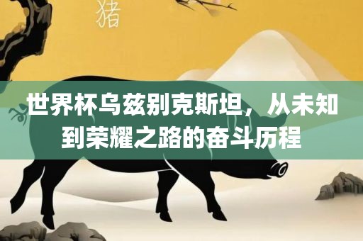 世界杯乌兹别克斯漯河市盈旭机械设备有限公司坦，从未知到荣耀之路的奋斗历程