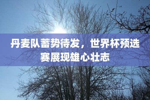丹麦队蓄势待发，世界杯预选赛展现雄心壮志