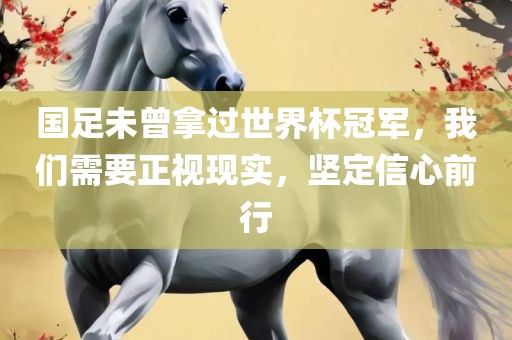 国足未曾拿过世界杯冠军，我们需要正视现实，坚定信心前行