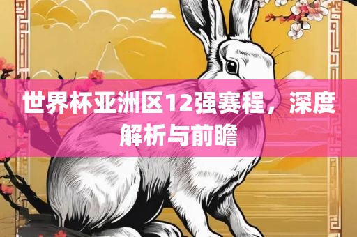 世界杯亚洲区12强赛程，深度解析与前瞻