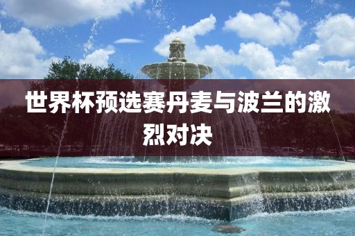 世界杯预选赛丹麦与波兰的激烈对决漯河市盈旭机械设备有限公司