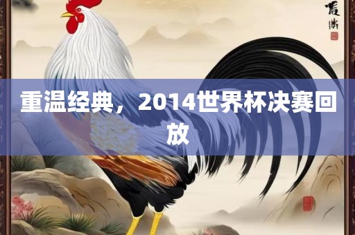 重温经典，2014世界杯决赛回放