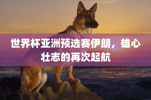 世界杯亚洲预选赛伊朗，雄心壮志的再次起航