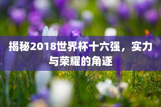 揭秘2018世界杯十六强，实力与荣耀的角逐