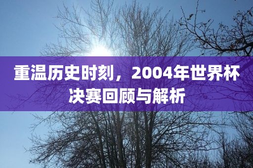 重温历史时刻，2004年世界杯决赛回顾与解析漯河市盈旭机械设备有限公司