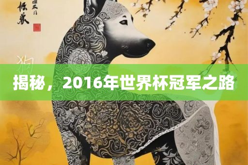 揭秘，2016年世界杯冠军之路