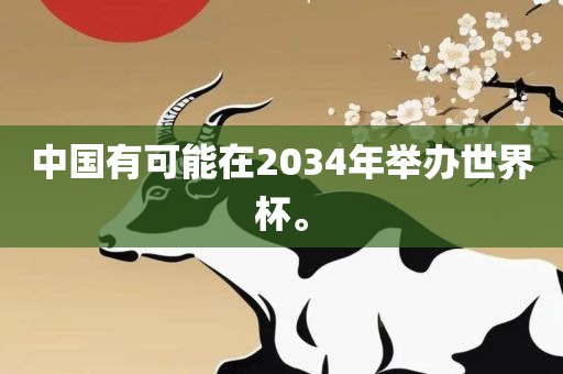 中国有可能在2034年举办世界杯。