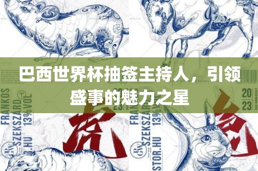 巴西世界杯抽签主持人，引领盛事的魅力之星