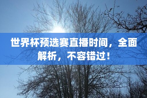 世界杯预选赛直播时间，全面解析，不容错过！