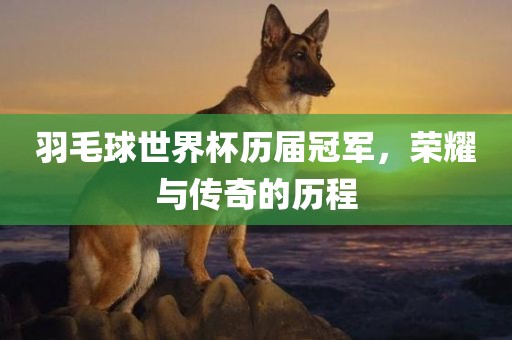 羽毛球世界杯历届冠军，荣耀与传奇的历程