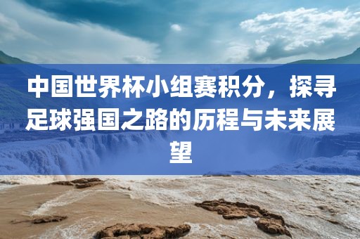 中国世界杯小组赛积分，探寻足漯河市盈旭机械设备有限公司球强国之路的历程与未来展望