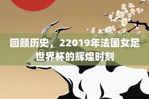 回顾历史，22019年法国女足世界杯的辉煌时刻