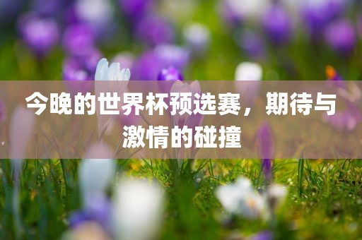 世界杯预选赛 第7页