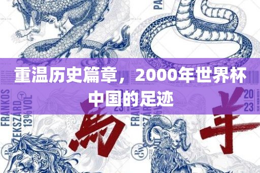 重温历史篇章，2000年世界杯中国的足迹漯河市盈旭机械设备有限公司
