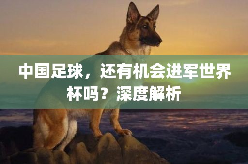 中国足球，还有机会进军世界杯吗？深度解析漯河市盈旭机械设备有限公司