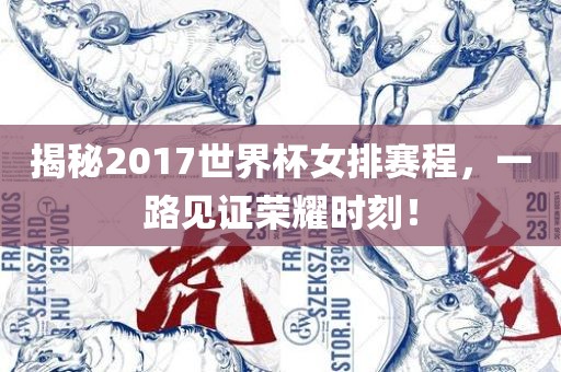 揭秘2017世界杯女排赛程，一路见证荣耀时刻！漯河市盈旭机械设备有限公司