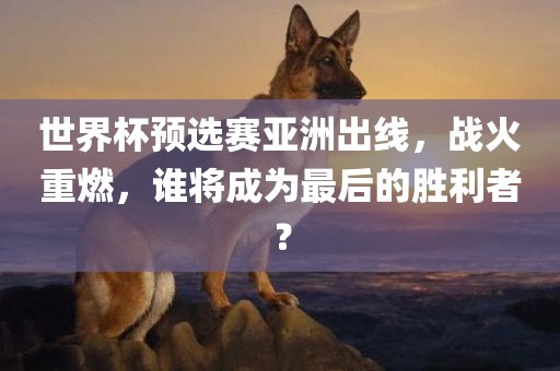 世界杯预选赛亚洲出线，战火重燃，谁将成为最后的胜利者？漯河市盈旭机械设备有限公司