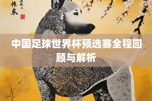 中国足球世界杯预选赛全程回顾与解析漯河市盈旭机械设备有限公司