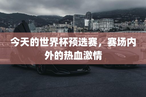 今天的世界杯预选赛，赛场内外的热血激情漯河市盈旭机械设备有限公司
