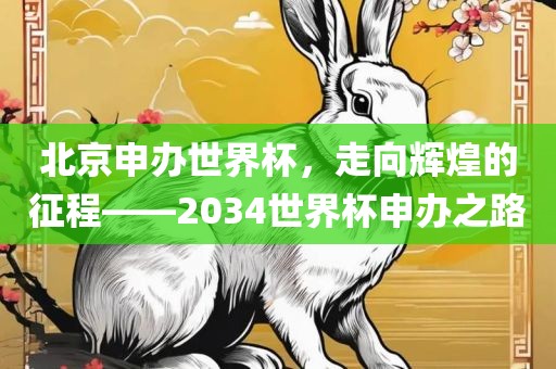 北京申办世界杯，走向辉煌的征程——2034世界杯申办之路漯河市盈旭机械设备有限公司